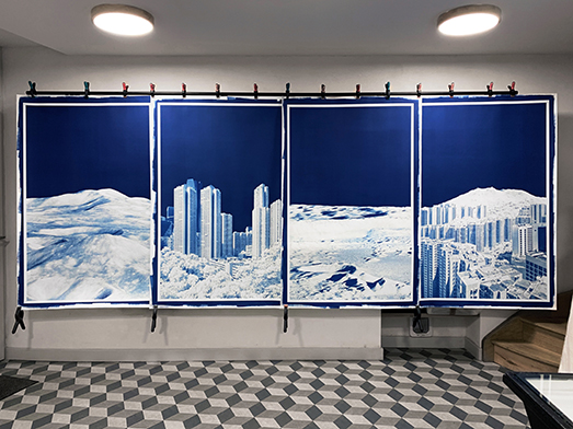 Cyanotypes grand format - H. Deverchère