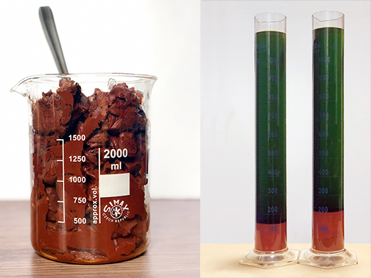 Oxalate ferrique Oxalate ferrique