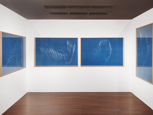Cyanotypes - Pascal Convert