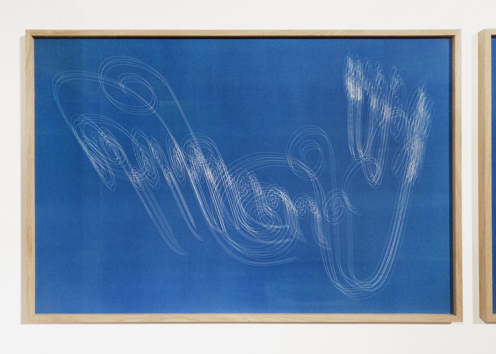 Cyanotype - Pascal Convert