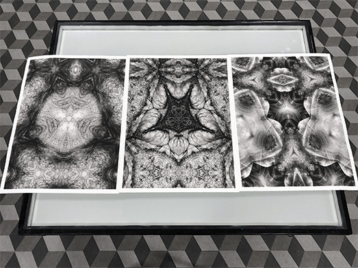 Tirage platine-palladium pour François Rouan